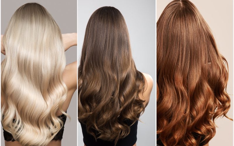 Hair of different shades of brunette, blonde and red. Woman collage back view